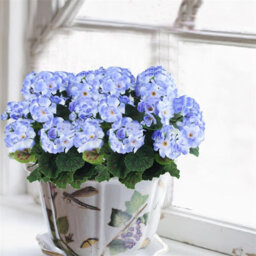 1 Artificial Flower For Outdoor Decoration, Silk Geranium, Fake Plant For Wedding Table Decoration, Garden, Home, Blue - thumbnail 5