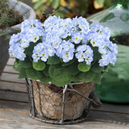 1 Artificial Flower For Outdoor Decoration, Silk Geranium, Fake Plant For Wedding Table Decoration, Garden, Home, Blue - thumbnail 8