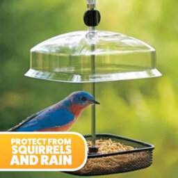 Marco Paul Hanging Mealworm & Suet Canopy Bird Feeder - thumbnail 4