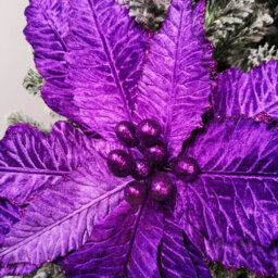 Samuel Alexander 76Cm Purple Velvet Poinsettia Stem With Glitter Christmas Decoration - thumbnail 4