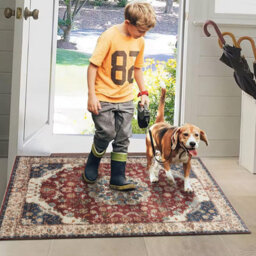 Ameha Cashmere Rug Luxurious Comfort 60 X 110 Cm Pet Friendly Non Slip Door Floor Mat Whisper Rugs - thumbnail 3