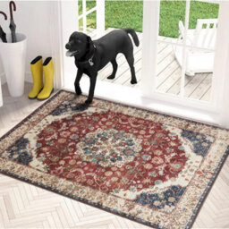 Ameha Cashmere Rug Luxurious Comfort 60 X 110 Cm Pet Friendly Non Slip Door Floor Mat Whisper Rugs - thumbnail 7