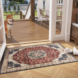 Ameha Cashmere Rug Luxurious Comfort 60 X 110 Cm Pet Friendly Non Slip Door Floor Mat Whisper Rugs - thumbnail 4