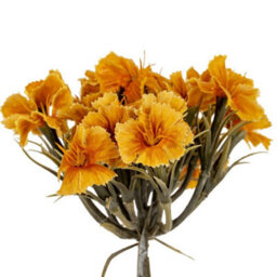Hill Interiors Yellow Dianthus Spray Artificial Flower - Plastic - L14 X W14 X H55 Cm - Yellow - thumbnail 2