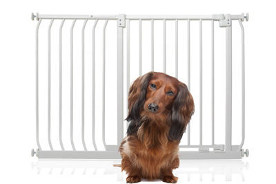 Bettacare Elite Pressure Dog Gate, 116Cm - 125Cm, Matt White, Pressure Fit Pet Gate For Dog And Puppy - image 1