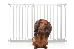 Bettacare Elite Pressure Dog Gate, 116Cm - 125Cm, Matt White, Pressure Fit Pet Gate For Dog And Puppy - thumbnail 1