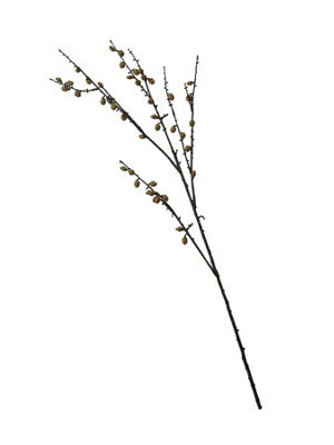 Bloom Artificial Single Mini Pinecone Spray Stem - Faux Fake Silk Flower Indoor Home Decoration Floral Arrangements - L50Cm - image 1