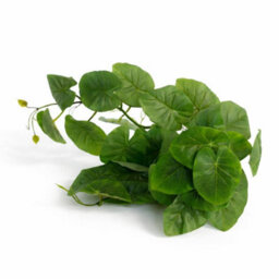Leaf 25Cm Artificial Trailing Arrowhead Vine Plant - thumbnail 2