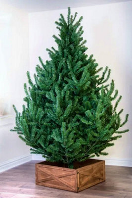 Christmas Tree World The 6Ft/180Cm Mountain Pine Christmas Tree - image 1