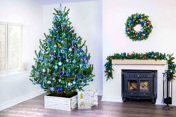 Christmas Tree World The 6Ft/180Cm Mountain Pine Christmas Tree - thumbnail 9