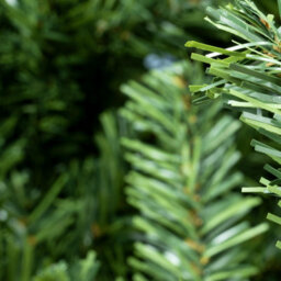 Christmas Tree World The 6Ft/180Cm Mountain Pine Christmas Tree - thumbnail 8