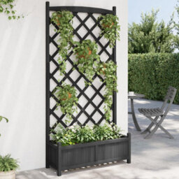 Walplus Planter With Trellis Black Solid Wood Fir