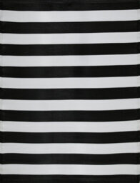 The Rugs Reversible Waterproof Outdoor Rugs Rainbow 1030 Black&white - thumbnail 2