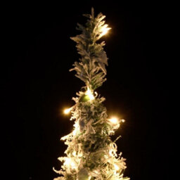 Berkfield Artificial Christmas Tree Pop-Up Flocked Snow 100 Leds 150 Cm - thumbnail 3