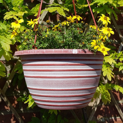 Anglo Eastern Trading Co 30Cm Olympia Basket Terracotta With White Planter Pot - image 1