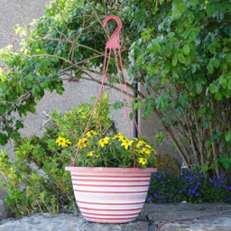 Anglo Eastern Trading Co 30Cm Olympia Basket Terracotta With White Planter Pot - thumbnail 2
