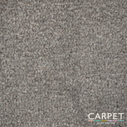 Carpet Shop Online Blithe Twist Stone Grey Carpet Action Back 5.5M X 4M
