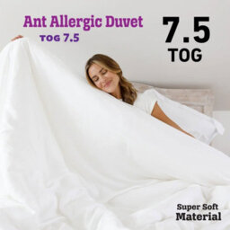 Ameha Pink Plain Velvet Cushions Set, 18X18 Inch, Includes 2 Filled Cushions & 2 Covers, Breathable & Anti Allergic
