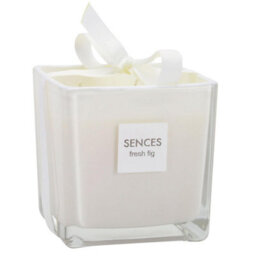 Taylor & Brown 550G Fresh Fig Scented Square Wax Candle Luxury Home Fragrance Jar For Bedroom, Living Room, Décor - thumbnail 2