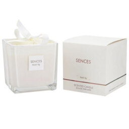 Taylor & Brown 550G Fresh Fig Scented Square Wax Candle Luxury Home Fragrance Jar For Bedroom, Living Room, Décor