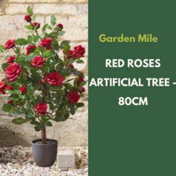 Marco Paul 80Cm Artificial Rose Plant Red In Pot - thumbnail 4