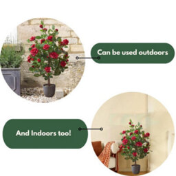 Marco Paul 80Cm Artificial Rose Plant Red In Pot - thumbnail 6