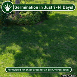 Pro-Kleen Grass Seed For Shady Areas2 X 5Kg Covers 600M2 Fast Growing Hard Wearing For New Lawns, Overseeding And Patch Repair - thumbnail 3