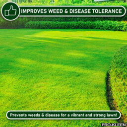 Pro-Kleen Grass Seed For Shady Areas2 X 5Kg Covers 600M2 Fast Growing Hard Wearing For New Lawns, Overseeding And Patch Repair - thumbnail 7