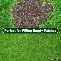 Pro-Kleen Grass Seed For Shady Areas2 X 5Kg Covers 600M2 Fast Growing Hard Wearing For New Lawns, Overseeding And Patch Repair - thumbnail 5