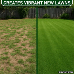 Pro-Kleen Grass Seed For Shady Areas2 X 5Kg Covers 600M2 Fast Growing Hard Wearing For New Lawns, Overseeding And Patch Repair - thumbnail 6