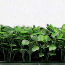 2 Artificial Grass Door Background Walls, Artificial Plants, Green Wall, Milan, 60 X 40 Cm - thumbnail 5