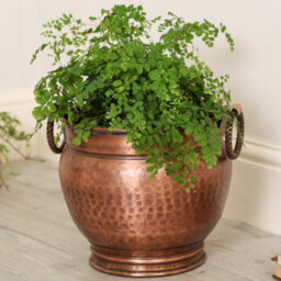 Dibor Vintage Style Copper Finish Hallway Décor Indoor Outdoor Garden Planter Pot (Dia) 25Cm, (H) 24Cm