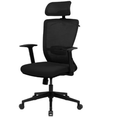 Flexispot Ergonomic Resilient Swivel Office Chair-Black - image 1