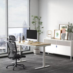 Flexispot Ergonomic Resilient Swivel Office Chair-Black - thumbnail 2