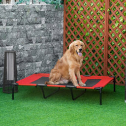 Pawhut Elevated Dog Bed Cooling Raised Pet Cot For Indoor Outdoor Use, Xx Large - thumbnail 1