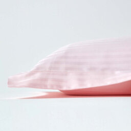 Homescapes Pink Egyptian Cotton Satin Stripe Oxford Pillowcase 330 Tc - thumbnail 2