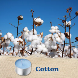 Aladino 10Pck Cotton Scented Tealights - thumbnail 5