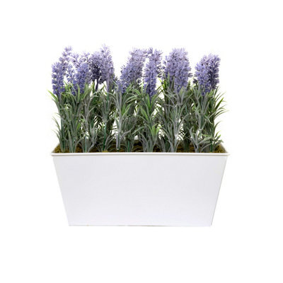 GreenBrokers Lavender In White Tin Planter (Window Box) 30Cm - image 1