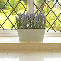 GreenBrokers Lavender In White Tin Planter (Window Box) 30Cm - thumbnail 6
