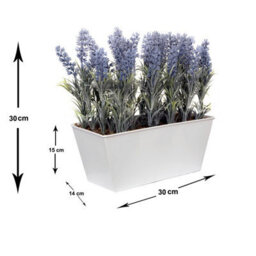 GreenBrokers Lavender In White Tin Planter (Window Box) 30Cm - thumbnail 2