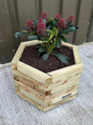 Simply Wood Signature Classic Hexagon Planter - Large - thumbnail 1