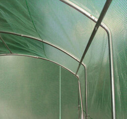 Crocodile Trading 4M X 3.5M + Ground Anchor Kit (13' X 11.5' Approx) Pro Max Green Poly Tunnel - thumbnail 7