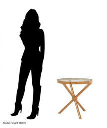 Orsina Durable Round Rose Gold Side Table, Elegant Small Lounge Table For Tea, Stainless Steel Base Bedside Table - thumbnail 6