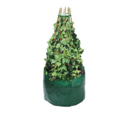 Garland Products Ltd Garland Pea & Bean Grow Bag Planter - thumbnail 1