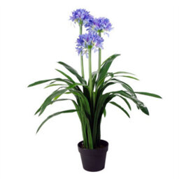 Leaf 90Cm Blue Flower Artificial Blossom Plant Agapanthus With Pot