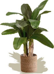 Artificial Plant Banana Tree, Maia Shop For Home And Office Decoration, 120Cm - thumbnail 4