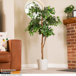 Garden Gear Artificial Ficus Tree 150Cm With Natural Wood Trunk, Silk Leaves, Indoor Outdoor Greenery Home Office Décor - thumbnail 2