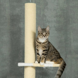 Yellow Floor To Ceiling Cat Tree 220-260Cm Multi-Layer Kitten Tower - thumbnail 4