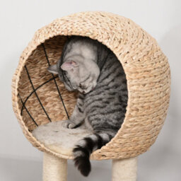 Pawhut 100Cm Kitten Climbing Tower For Indoor Cats With Sisal Post, Beige - thumbnail 7