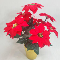 Artificial Led Red Poinsettia Plant In Gold Pot - Faux Realistic Floral Home Christmas Decoration With 10 Lights - H35 X 28Cm - thumbnail 4